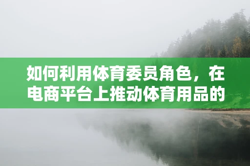 如何利用体育委员角色，在电商平台上推动体育用品的销量？