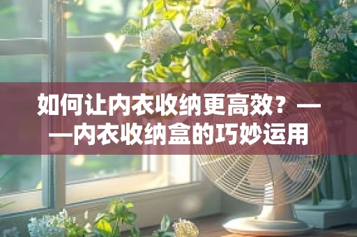 如何让内衣收纳更高效？——内衣收纳盒的巧妙运用
