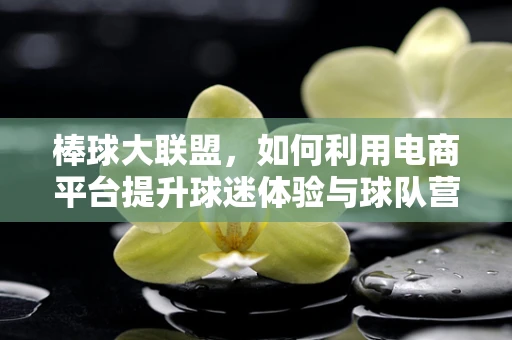 棒球大联盟，如何利用电商平台提升球迷体验与球队营销？