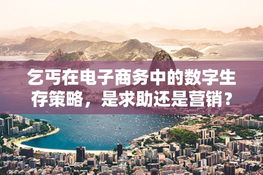 乞丐在电子商务中的数字生存策略，是求助还是营销？