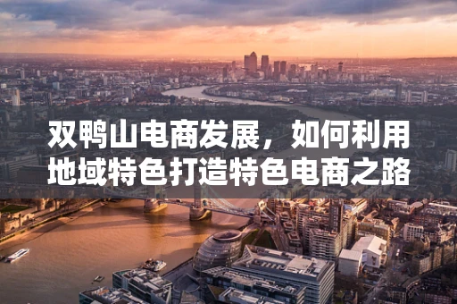 双鸭山电商发展，如何利用地域特色打造特色电商之路？