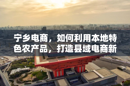 宁乡电商，如何利用本地特色农产品，打造县域电商新名片？