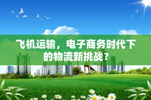 飞机运输，电子商务时代下的物流新挑战？