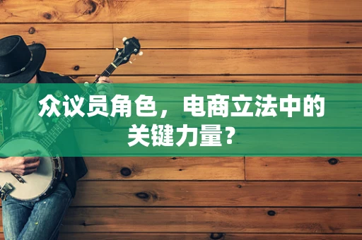 众议员角色，电商立法中的关键力量？