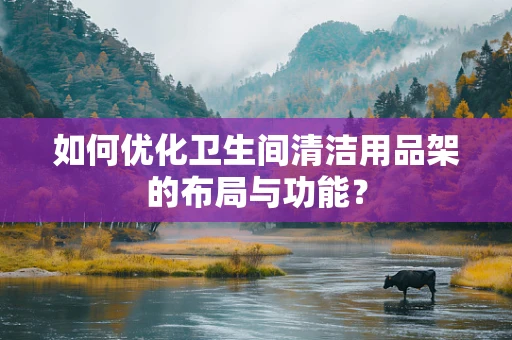 如何优化卫生间清洁用品架的布局与功能？