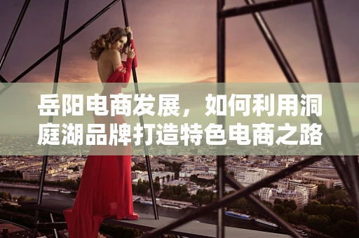 岳阳电商发展，如何利用洞庭湖品牌打造特色电商之路？