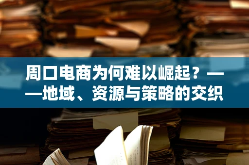 周口电商为何难以崛起？——地域、资源与策略的交织困境