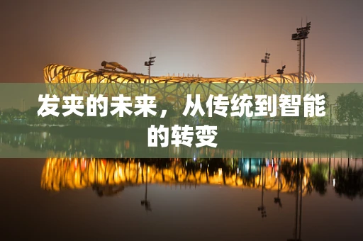 发夹的未来，从传统到智能的转变