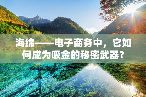 海绵——电子商务中，它如何成为吸金的秘密武器？
