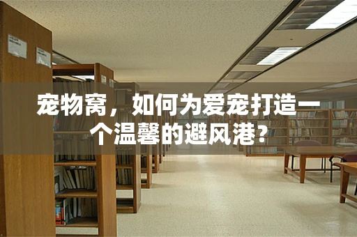 宠物窝，如何为爱宠打造一个温馨的避风港？