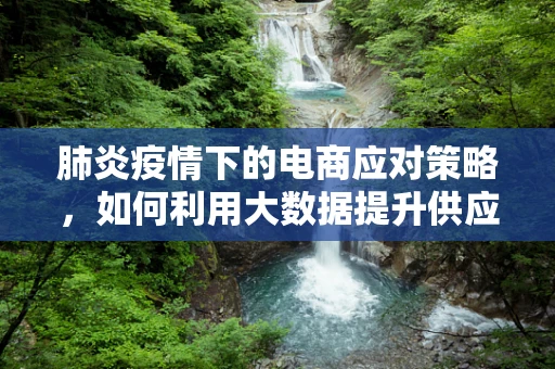 肺炎疫情下的电商应对策略，如何利用大数据提升供应链韧性？