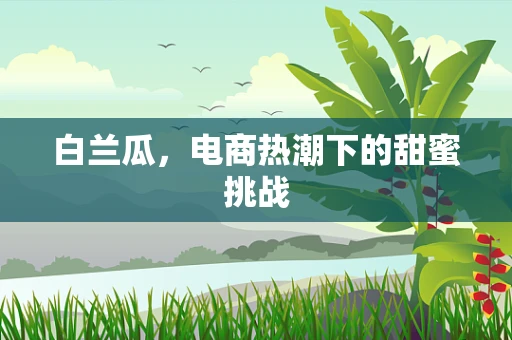 白兰瓜，电商热潮下的甜蜜挑战