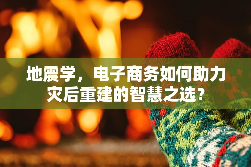地震学，电子商务如何助力灾后重建的智慧之选？