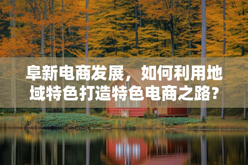 阜新电商发展，如何利用地域特色打造特色电商之路？