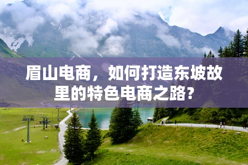 眉山电商，如何打造东坡故里的特色电商之路？