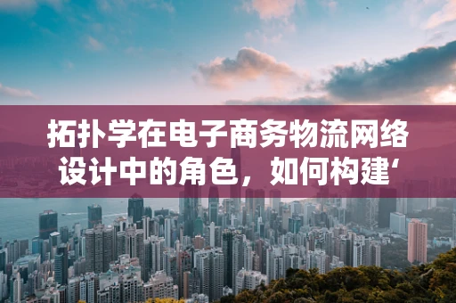 拓扑学在电子商务物流网络设计中的角色，如何构建‘无缝’的配送网络？