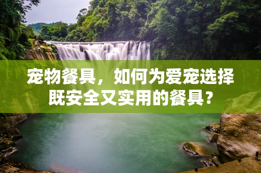 宠物餐具，如何为爱宠选择既安全又实用的餐具？