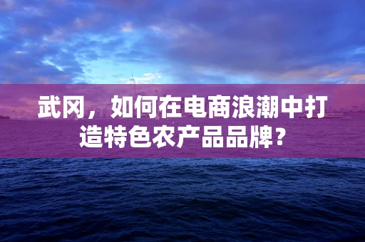 武冈，如何在电商浪潮中打造特色农产品品牌？
