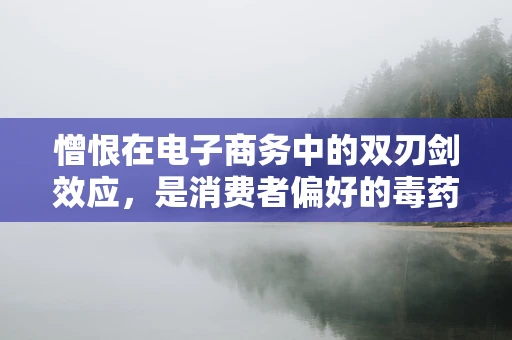 憎恨在电子商务中的双刃剑效应，是消费者偏好的毒药还是个性化推荐的解药？