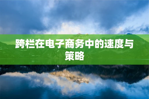 跨栏在电子商务中的速度与策略
