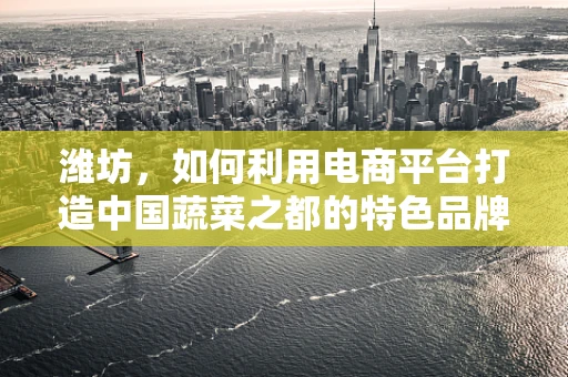 潍坊，如何利用电商平台打造中国蔬菜之都的特色品牌？
