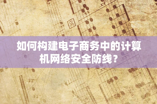 如何构建电子商务中的计算机网络安全防线？