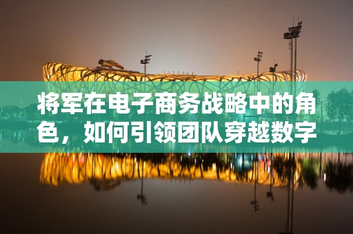 将军在电子商务战略中的角色，如何引领团队穿越数字战场？