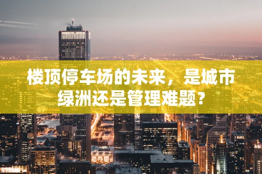 楼顶停车场的未来，是城市绿洲还是管理难题？