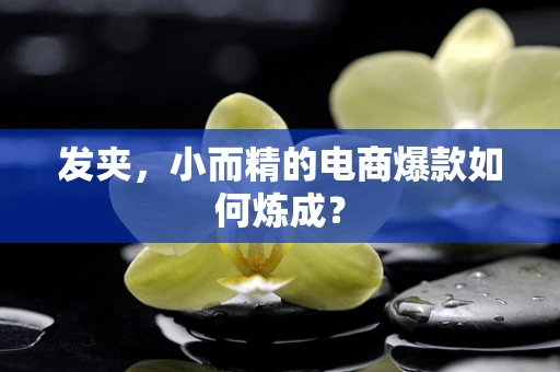 发夹，小而精的电商爆款如何炼成？