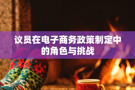 议员在电子商务政策制定中的角色与挑战