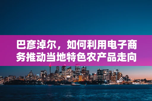 巴彦淖尔，如何利用电子商务推动当地特色农产品走向全国？