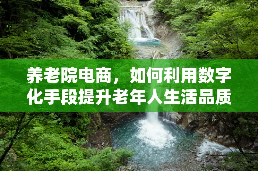 养老院电商，如何利用数字化手段提升老年人生活品质？