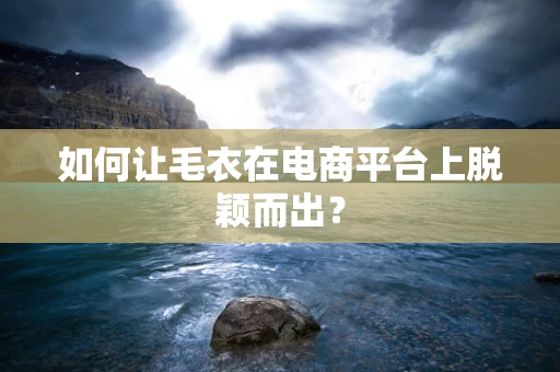 如何让毛衣在电商平台上脱颖而出？