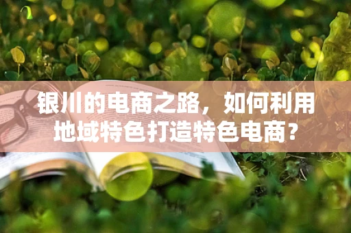 银川的电商之路，如何利用地域特色打造特色电商？