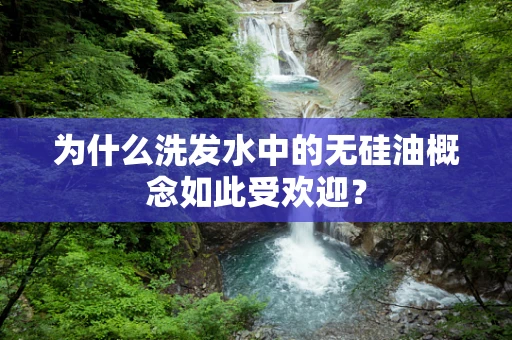 为什么洗发水中的无硅油概念如此受欢迎？