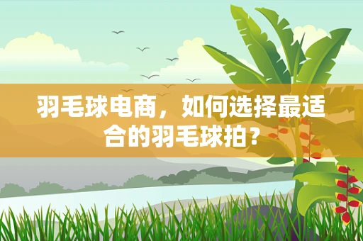 羽毛球电商，如何选择最适合的羽毛球拍？