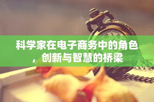 科学家在电子商务中的角色，创新与智慧的桥梁