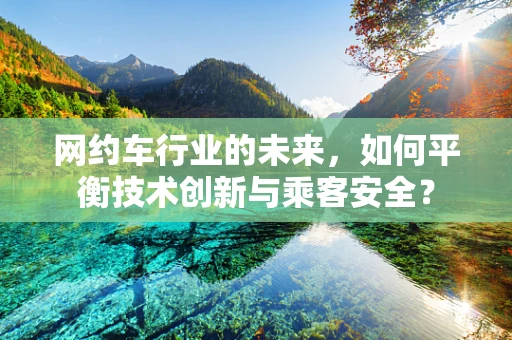 网约车行业的未来，如何平衡技术创新与乘客安全？