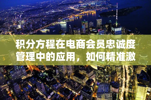 积分方程在电商会员忠诚度管理中的应用，如何精准激励用户？