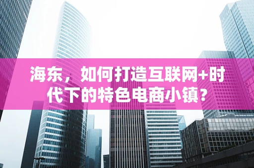 海东，如何打造互联网+时代下的特色电商小镇？