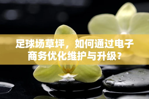 足球场草坪，如何通过电子商务优化维护与升级？