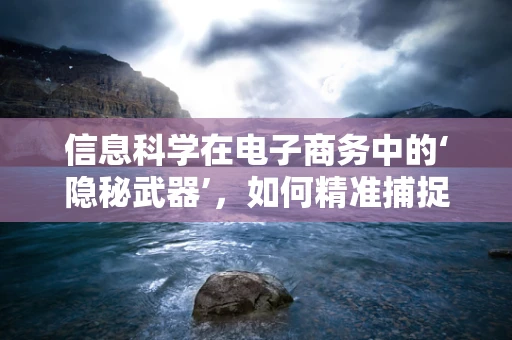 信息科学在电子商务中的‘隐秘武器’，如何精准捕捉用户需求？