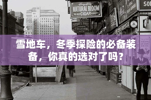 雪地车，冬季探险的必备装备，你真的选对了吗？