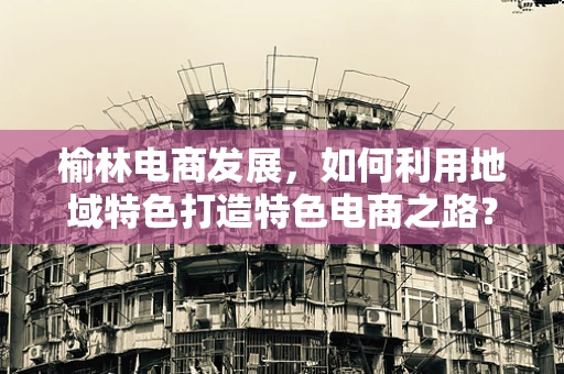 榆林电商发展，如何利用地域特色打造特色电商之路？