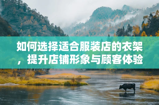 如何选择适合服装店的衣架，提升店铺形象与顾客体验？