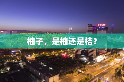柚子，是柚还是桔？