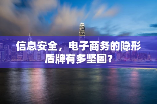 信息安全，电子商务的隐形盾牌有多坚固？