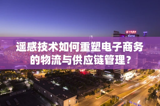 遥感技术如何重塑电子商务的物流与供应链管理？