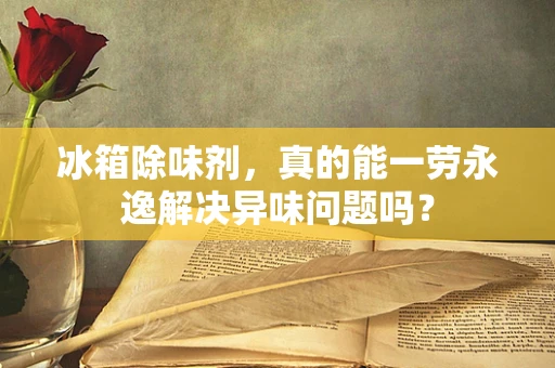 冰箱除味剂，真的能一劳永逸解决异味问题吗？