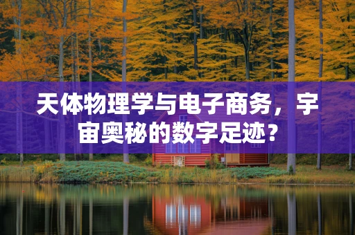 天体物理学与电子商务，宇宙奥秘的数字足迹？